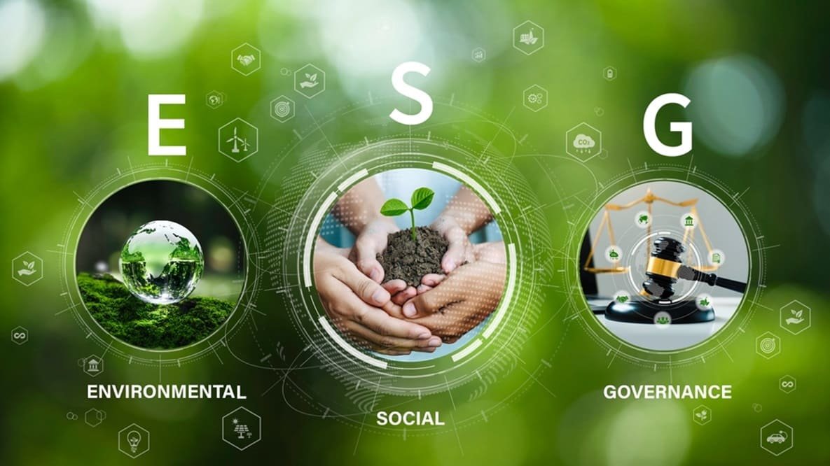 ESG and Sustainability Advisory