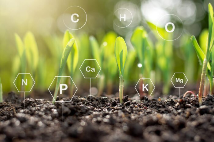 Regenerative Agriculture Advisory