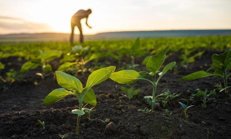 ESG Reporting and Disclosure
