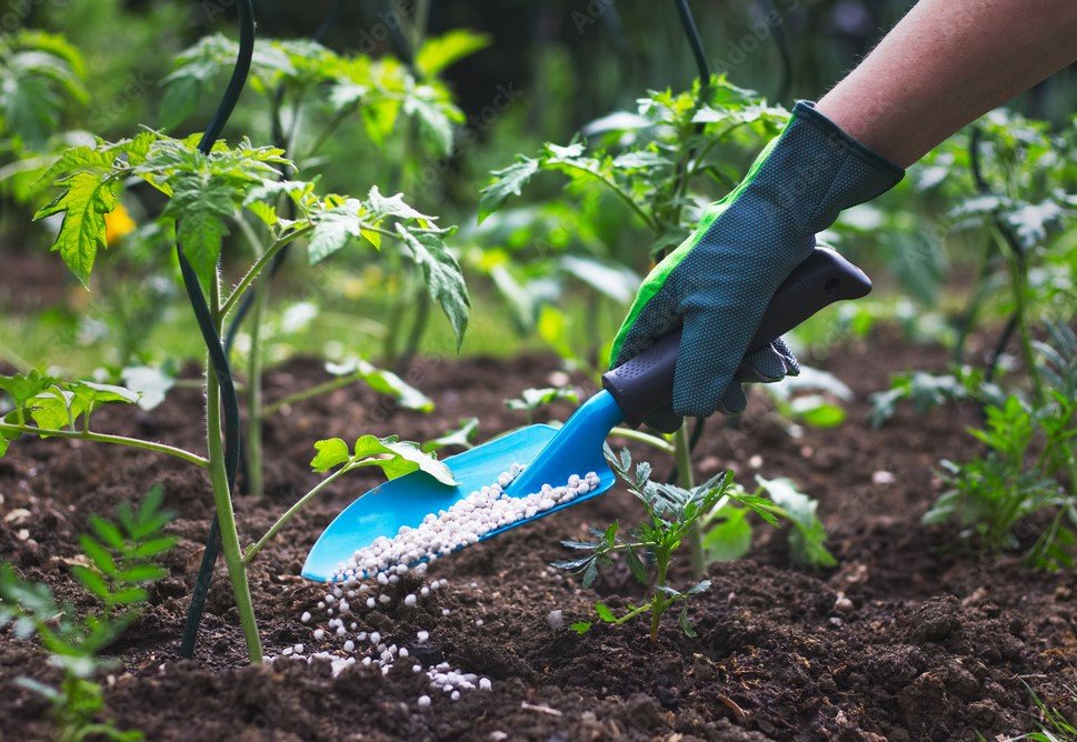 Seeds Pesticides Fertilizer
